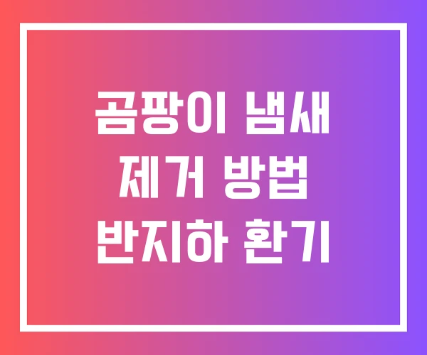 곰팡이 냄새 제거 방법 반지하 환기