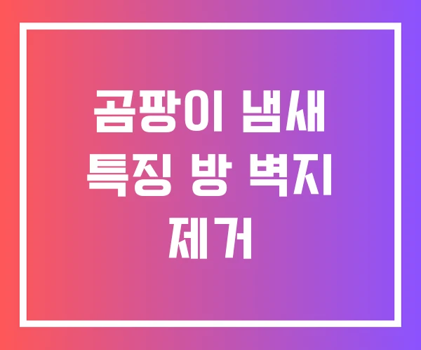 곰팡이 냄새 특징 방 벽지 제거