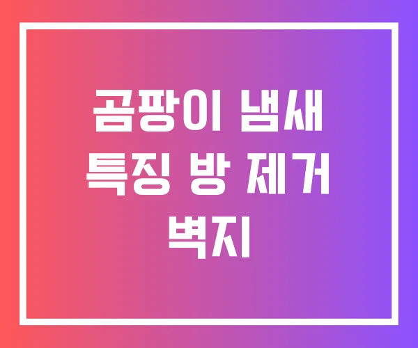 곰팡이 냄새 특징 방 제거 벽지 곰팡이 냄새 특징 방 제거 벽지