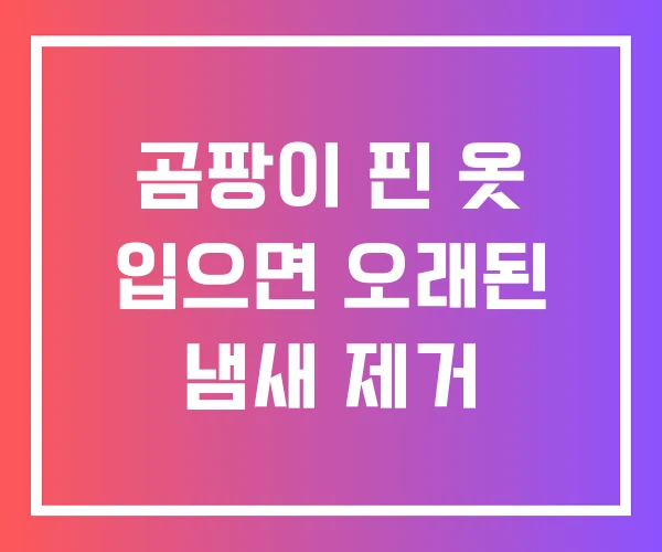 곰팡이 핀 옷 입으면 오래된 냄새 제거 곰팡이 핀 옷 입으면 오래된 냄새 제거