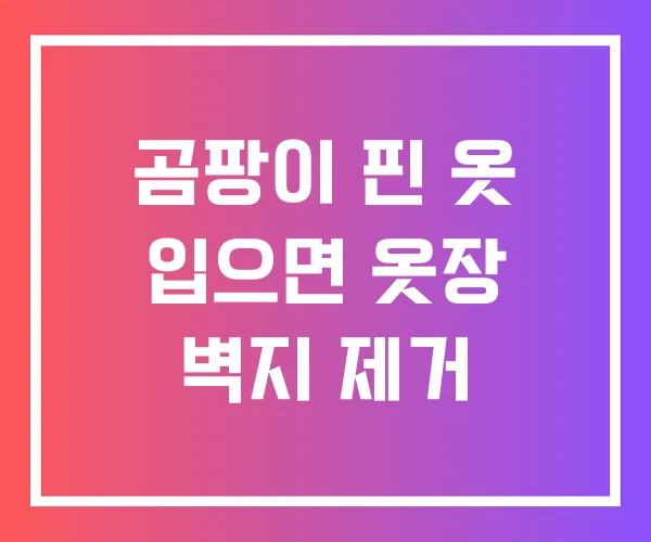 곰팡이 핀 옷 입으면 옷장 벽지 제거 곰팡이 핀 옷 입으면 옷장 벽지 제거