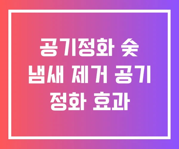 공기정화 숯 냄새 제거 공기 정화 효과