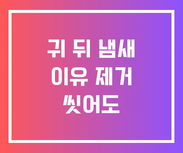 귀 뒤 냄새 이유 제거 씻어도 귀 뒤 냄새 이유 제거 씻어도