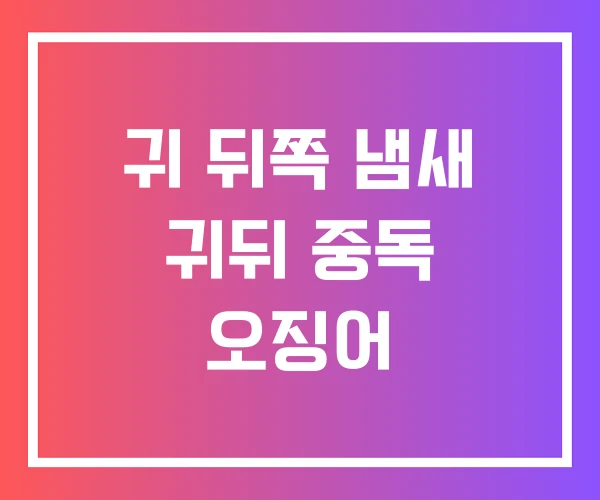 귀 뒤쪽 냄새 귀뒤 중독 오징어