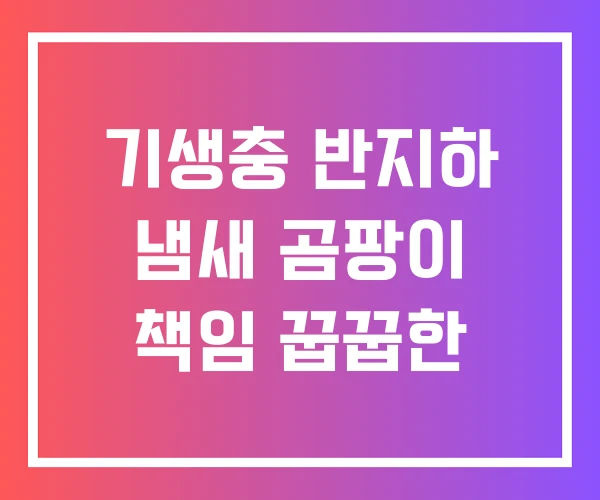 기생충 반지하 냄새 곰팡이 책임 꿉꿉한