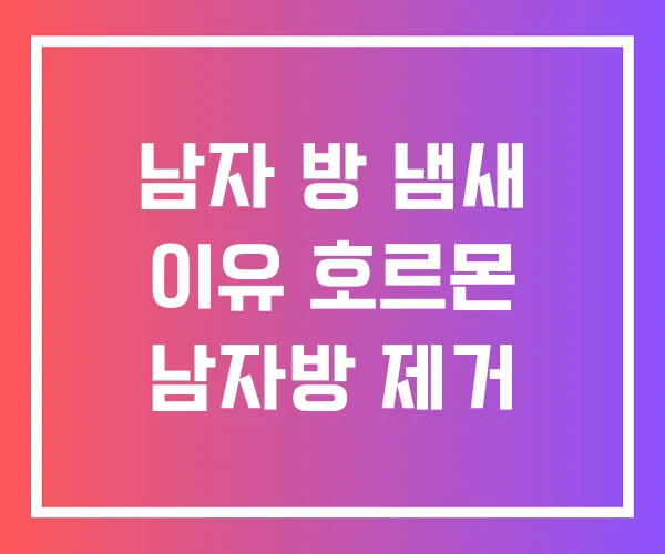 남자 방 냄새 이유 호르몬 남자방 제거