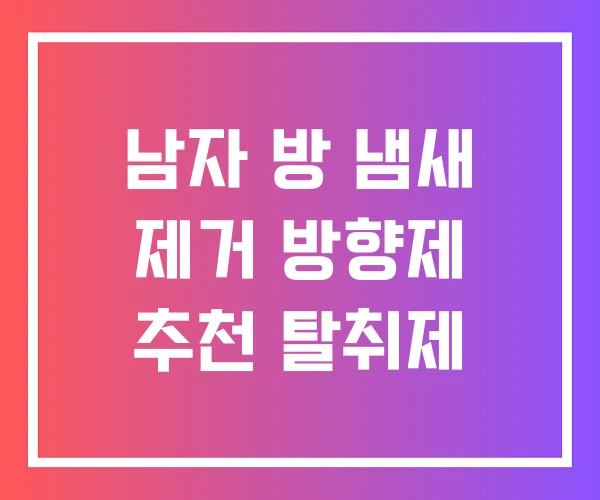남자 방 냄새 제거 방향제 추천 탈취제