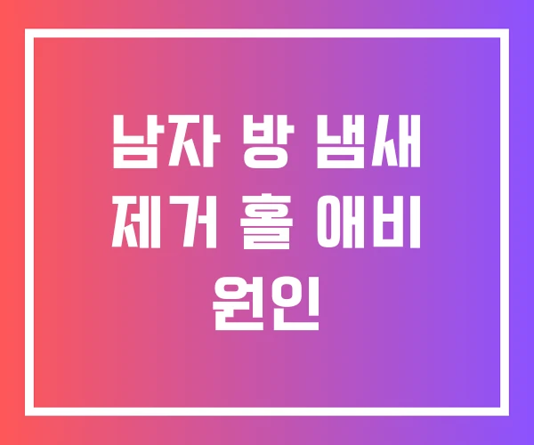 남자 방 냄새 제거 홀 애비 원인