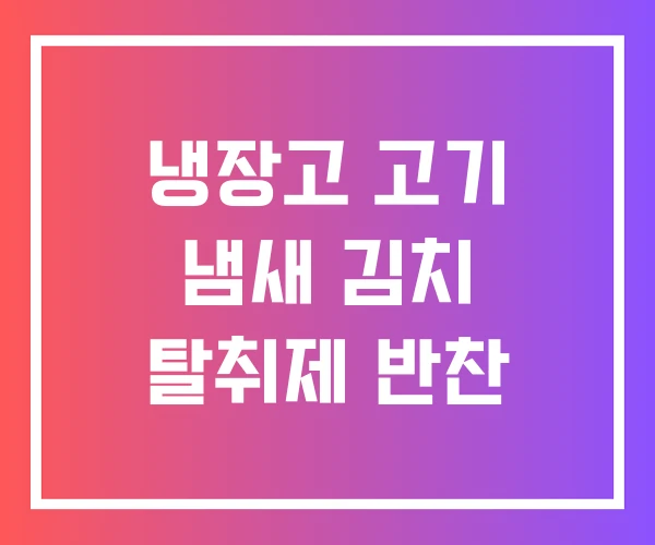 냉장고 고기 냄새 김치 탈취제 반찬