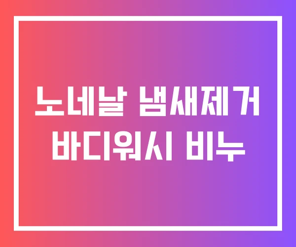노네날 냄새제거 바디워시 비누
