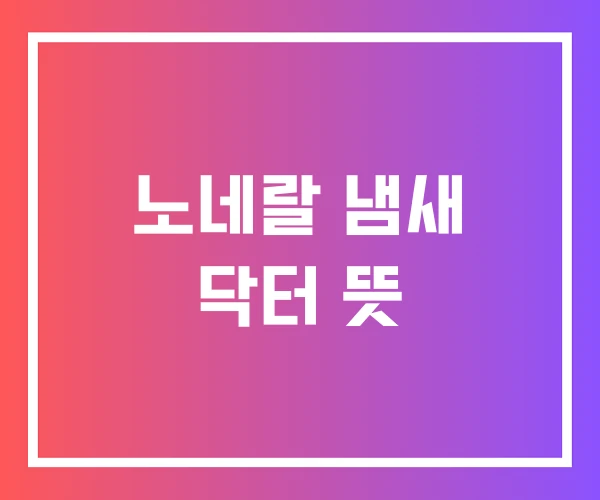 노네랄 냄새 닥터 뜻