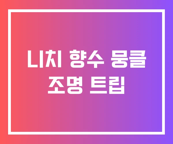 니치 향수 뭉클 조명 트립