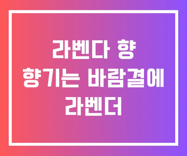 라벤다 향 향기는 바람결에 라벤더 라벤다 향 향기는 바람결에 라벤더