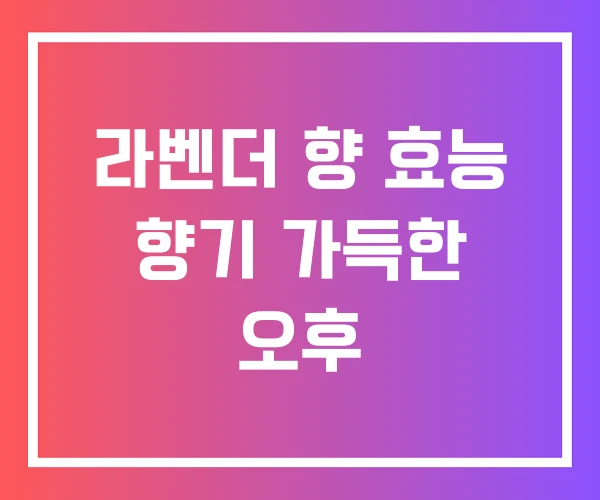라벤더 향 효능 향기 가득한 오후