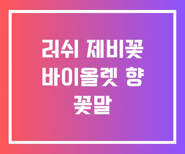 러쉬 제비꽃 바이올렛 향 꽃말