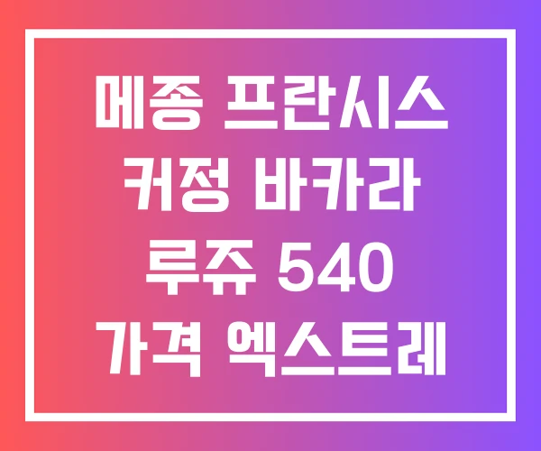 메종 프란시스 커정 바카라 루쥬 540 가격 엑스트레