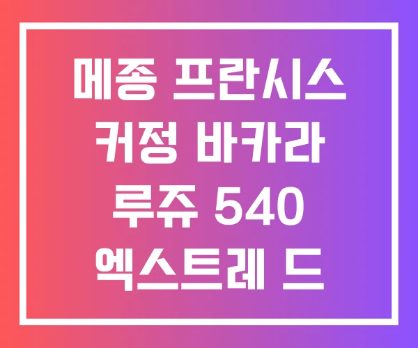 메종 프란시스 커정 바카라 루쥬 540 엑스트레 드 퍼퓸 후기 메종 프란시스 커정 바카라 루쥬 540 엑스트레 드 퍼퓸 후기
