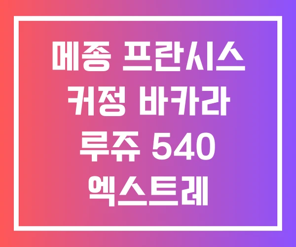 메종 프란시스 커정 바카라 루쥬 540 엑스트레