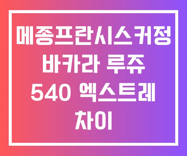 메종프란시스커정 바카라 루쥬 540 엑스트레 차이