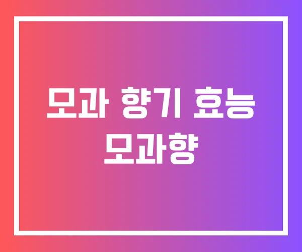 모과 향기 효능 모과향 모과 향기 효능 모과향