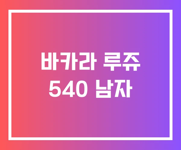 바카라 루쥬 540 남자