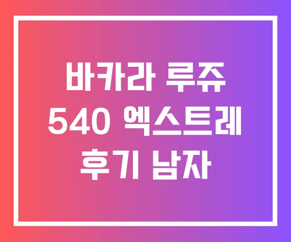 바카라 루쥬 540 엑스트레 후기 남자