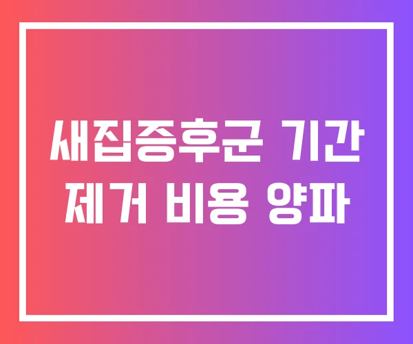 새집증후군 기간 제거 비용 양파