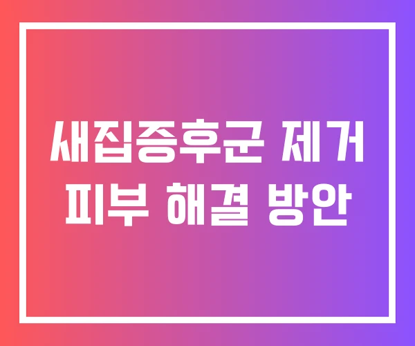 새집증후군 제거 피부 해결 방안 새집증후군 제거 피부 해결 방안