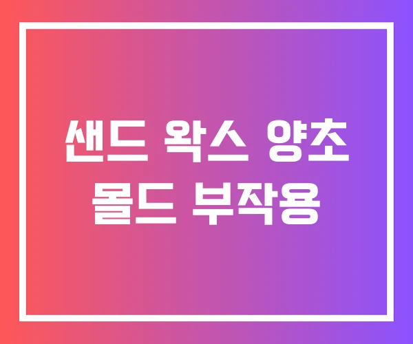 샌드 왁스 양초 몰드 부작용 샌드 왁스 양초 몰드 부작용