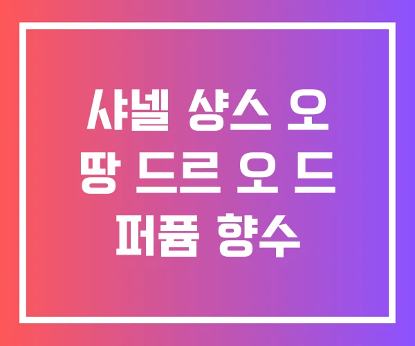 샤넬 샹스 오 땅 드르 오 드 퍼퓸 향수