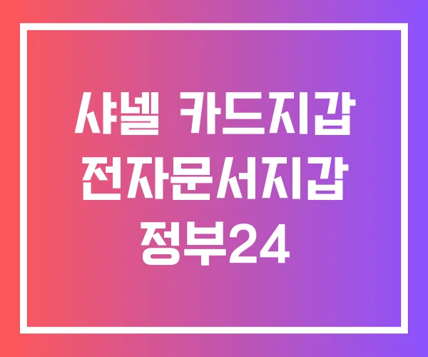 샤넬 카드지갑 전자문서지갑 정부24 샤넬 카드지갑 전자문서지갑 정부24