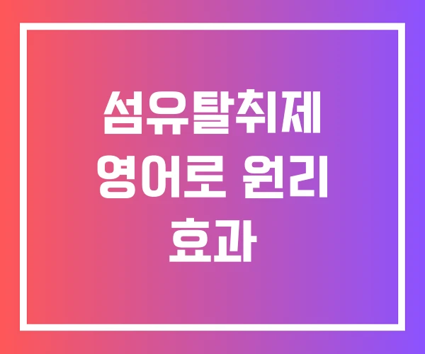 섬유탈취제 영어로 원리 효과