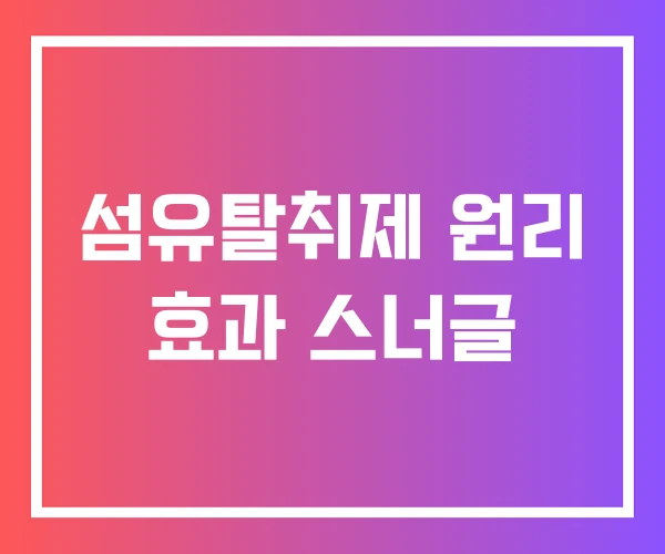 섬유탈취제 원리 효과 스너글