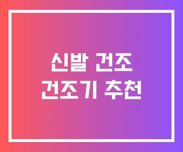 신발 건조 건조기 추천