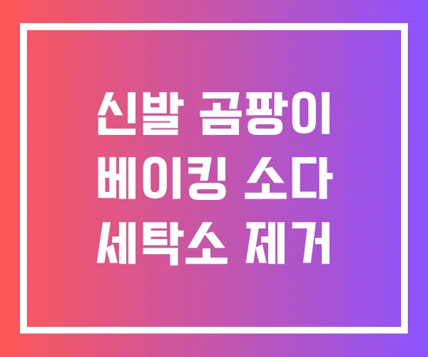 신발 곰팡이 베이킹 소다 세탁소 제거
