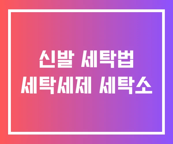 신발 세탁법 세탁세제 세탁소 신발 세탁법 세탁세제 세탁소