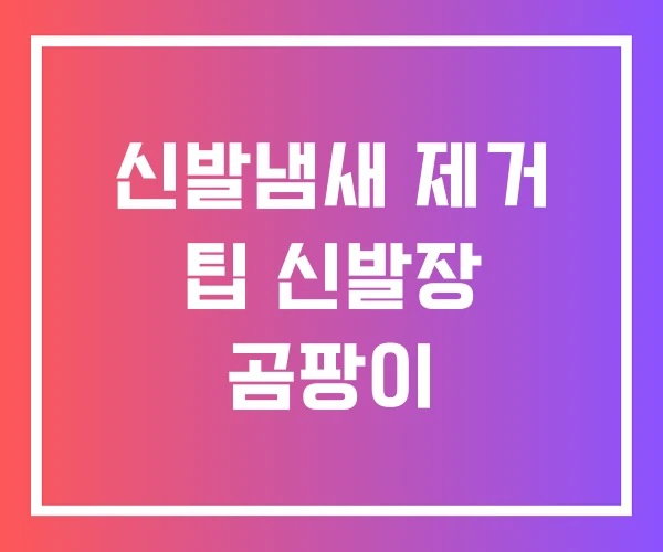 신발냄새 제거 팁 신발장 곰팡이