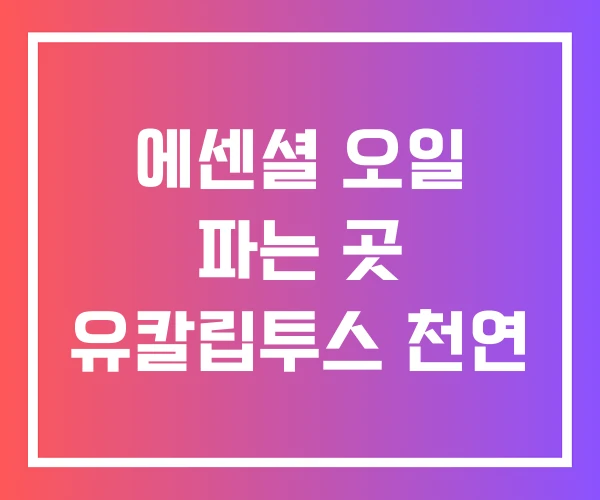 에센셜 오일 파는 곳 유칼립투스 천연 에센셜 오일 파는 곳 유칼립투스 천연