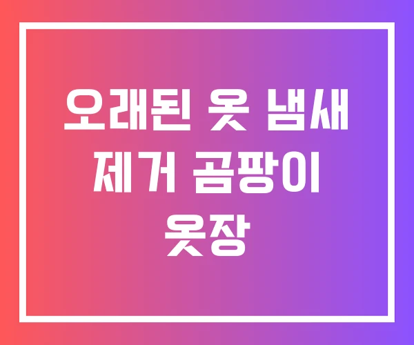 오래된 옷 냄새 제거 곰팡이 옷장 오래된 옷 냄새 제거 곰팡이 옷장
