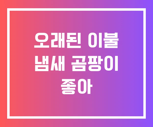 오래된 이불 냄새 곰팡이 좋아 오래된 이불 냄새 곰팡이 좋아