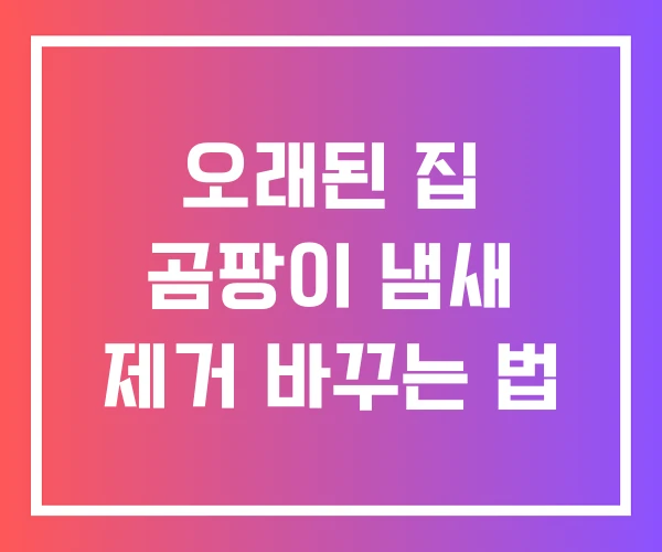 오래된 집 곰팡이 냄새 제거 바꾸는 법