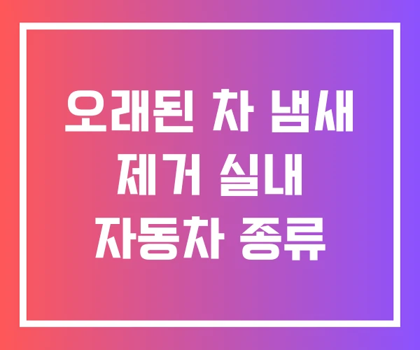 오래된 차 냄새 제거 실내 자동차 종류
