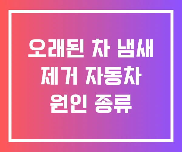 오래된 차 냄새 제거 자동차 원인 종류 오래된 차 냄새 제거 자동차 원인 종류