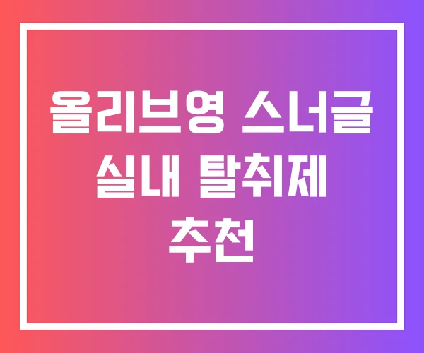 올리브영 스너글 실내 탈취제 추천