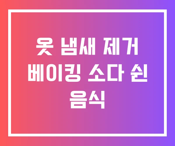 옷 냄새 제거 베이킹 소다 쉰 음식