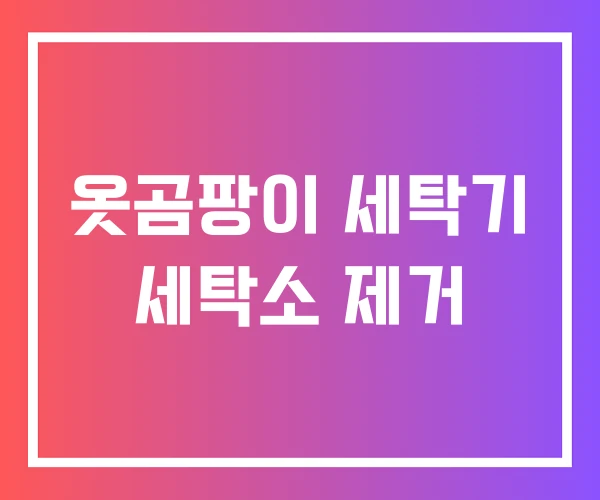 옷곰팡이 세탁기 세탁소 제거