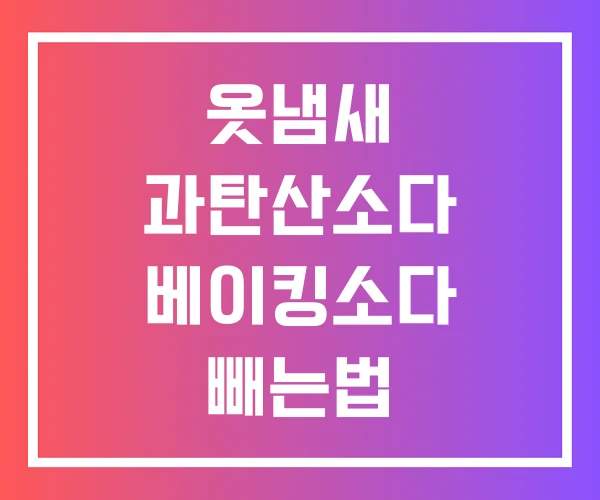 옷냄새 과탄산소다 베이킹소다 빼는법