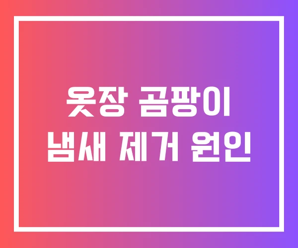 옷장 곰팡이 냄새 제거 원인