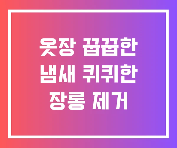 옷장 꿉꿉한 냄새 퀴퀴한 장롱 제거 옷장 꿉꿉한 냄새 퀴퀴한 장롱 제거