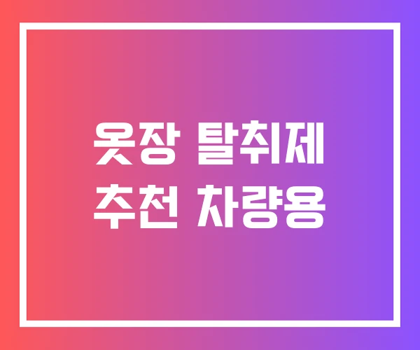 옷장 탈취제 추천 차량용 옷장 탈취제 추천 차량용